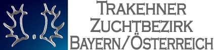 Trakehner Bayern